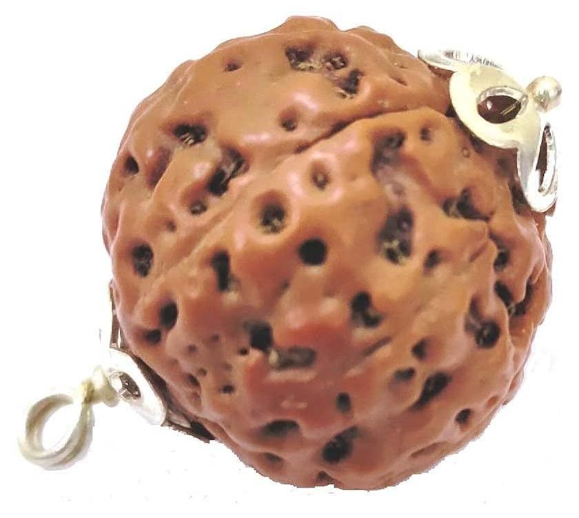 Merkloos Elzusha - Indonesisches Rudraksha-Perlenarmband mit 8 Facetten, inklusive Laborbericht