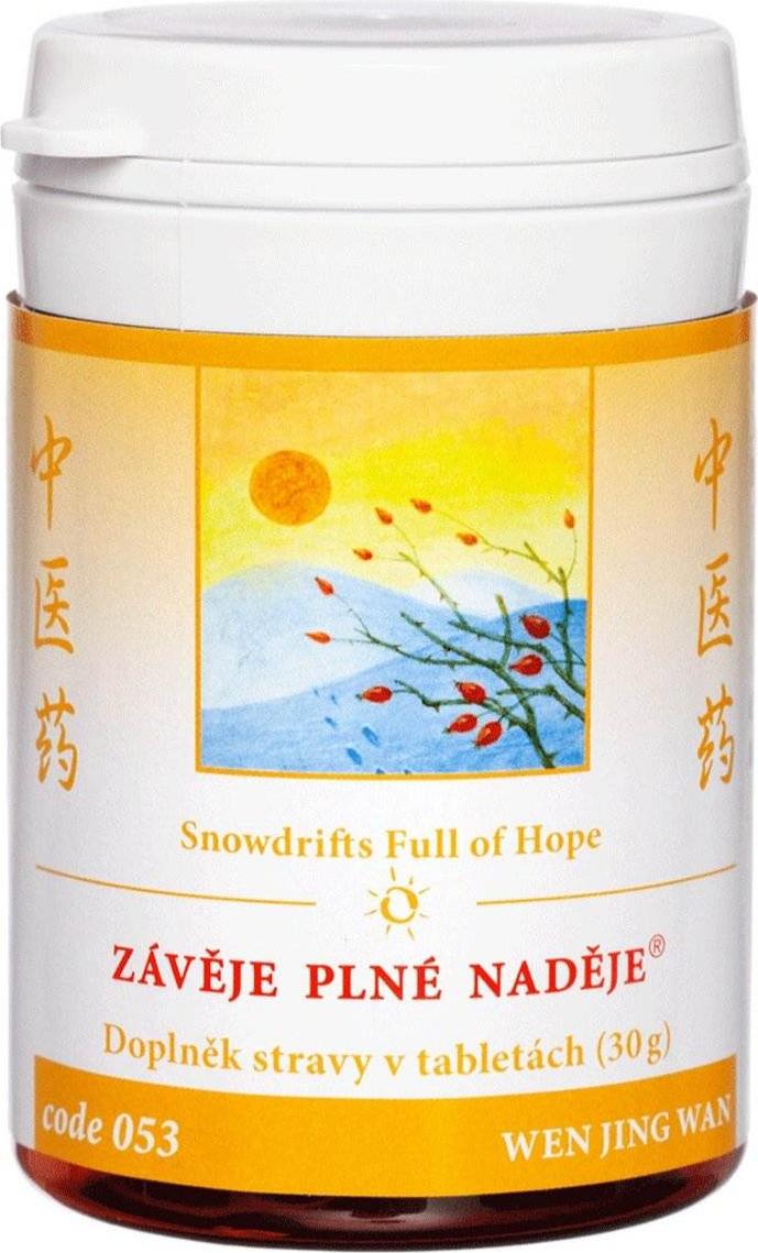 TCM Herbs 053 Hoffnungsvolle verwehungen (WEN JING WAN), 100 tbl