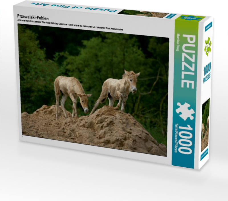 Calvendo Przewalski-Fohlen 1000 Teile Puzzle quer 640x480mm, Berg Martina; 7381199