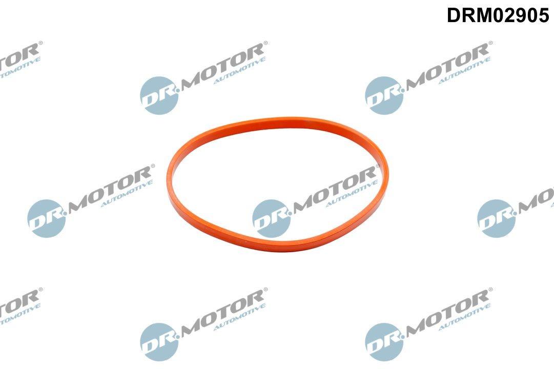 DR.MOTOR AUTOMOTIVE Dichtung Drosselklappe Drosselklappendichtung DRM02905 Drosselklappengehäuse für VW Touareg (7P5, 7P6)