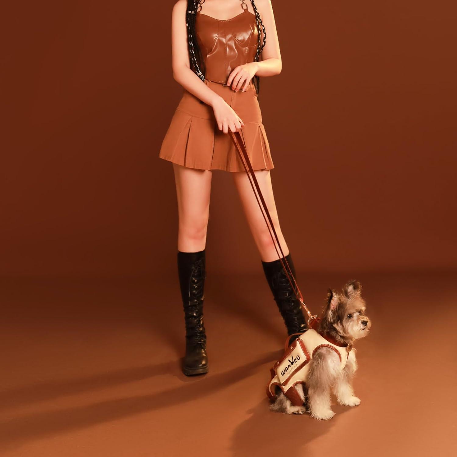 Markenlos Hundenrucksack für Hunde mit Gelenkverletzungen, Arthritis, alt und behindert von Wakytu - Größe M beige