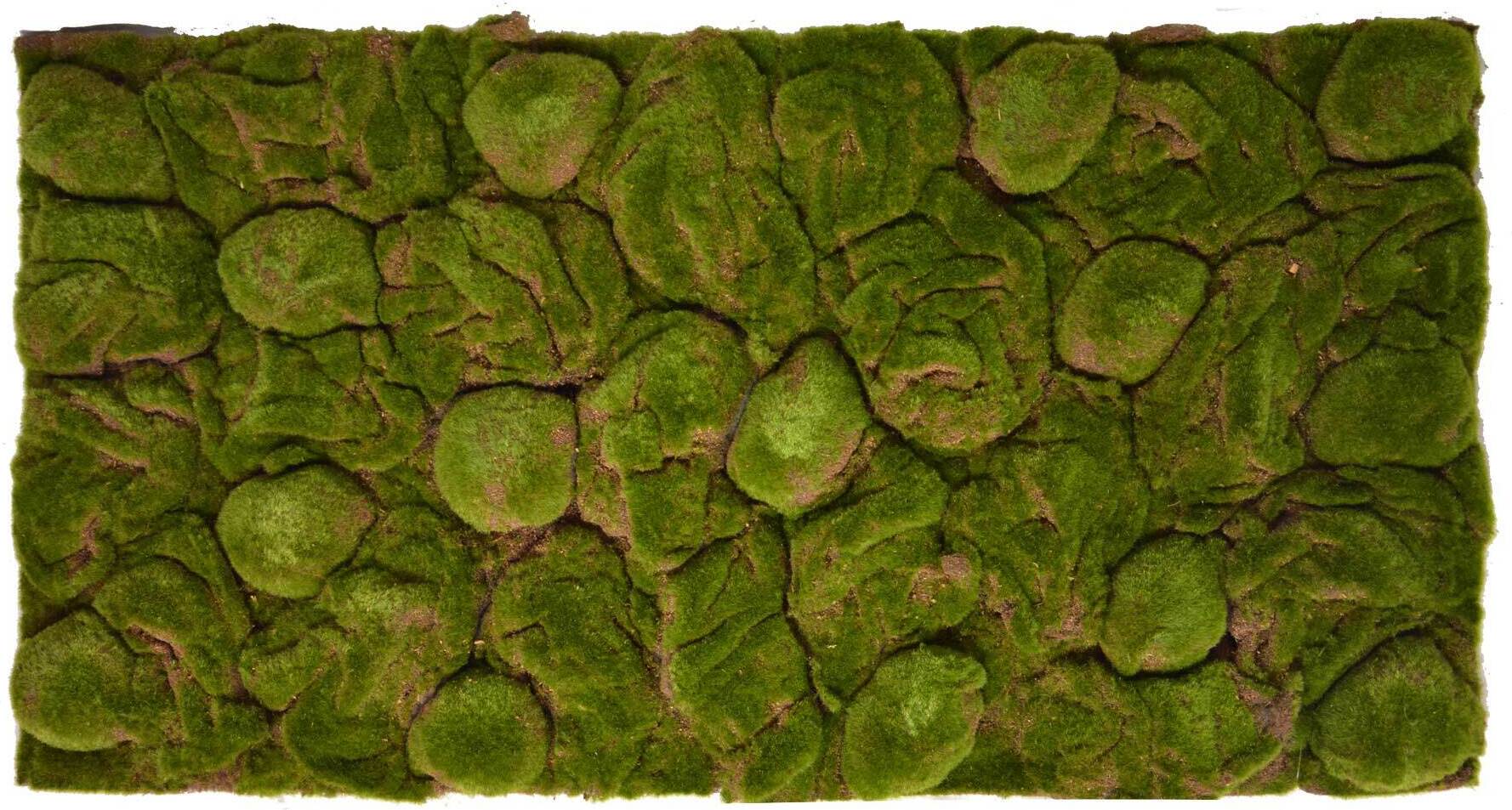 Repiterra® Terrarium Rückwand 3D Hintergrund Moos Design für 120x60cm Terrarien 101871-MOOS