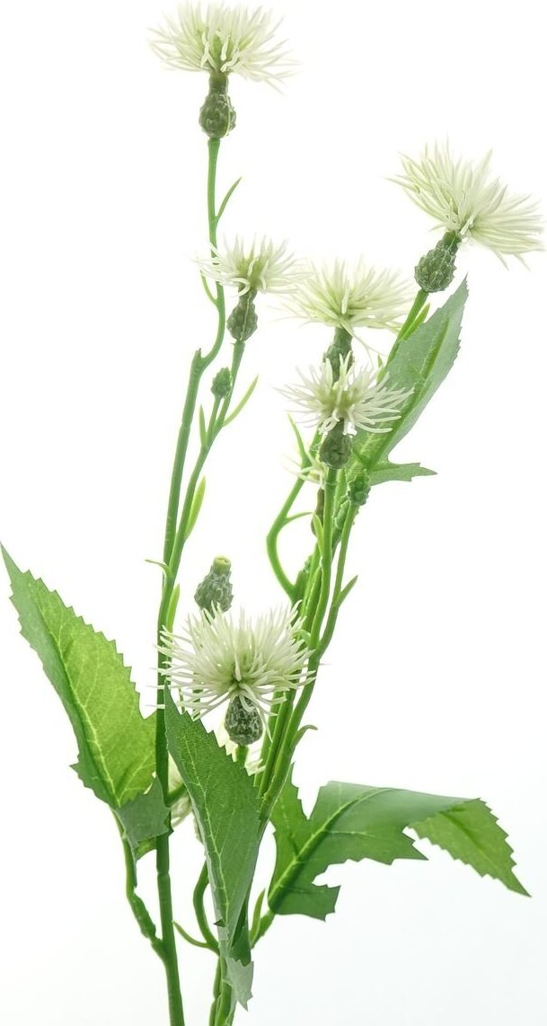 DPI Mini-Disteln Creme ca. 55 cm - Kunstblumen 43946-05