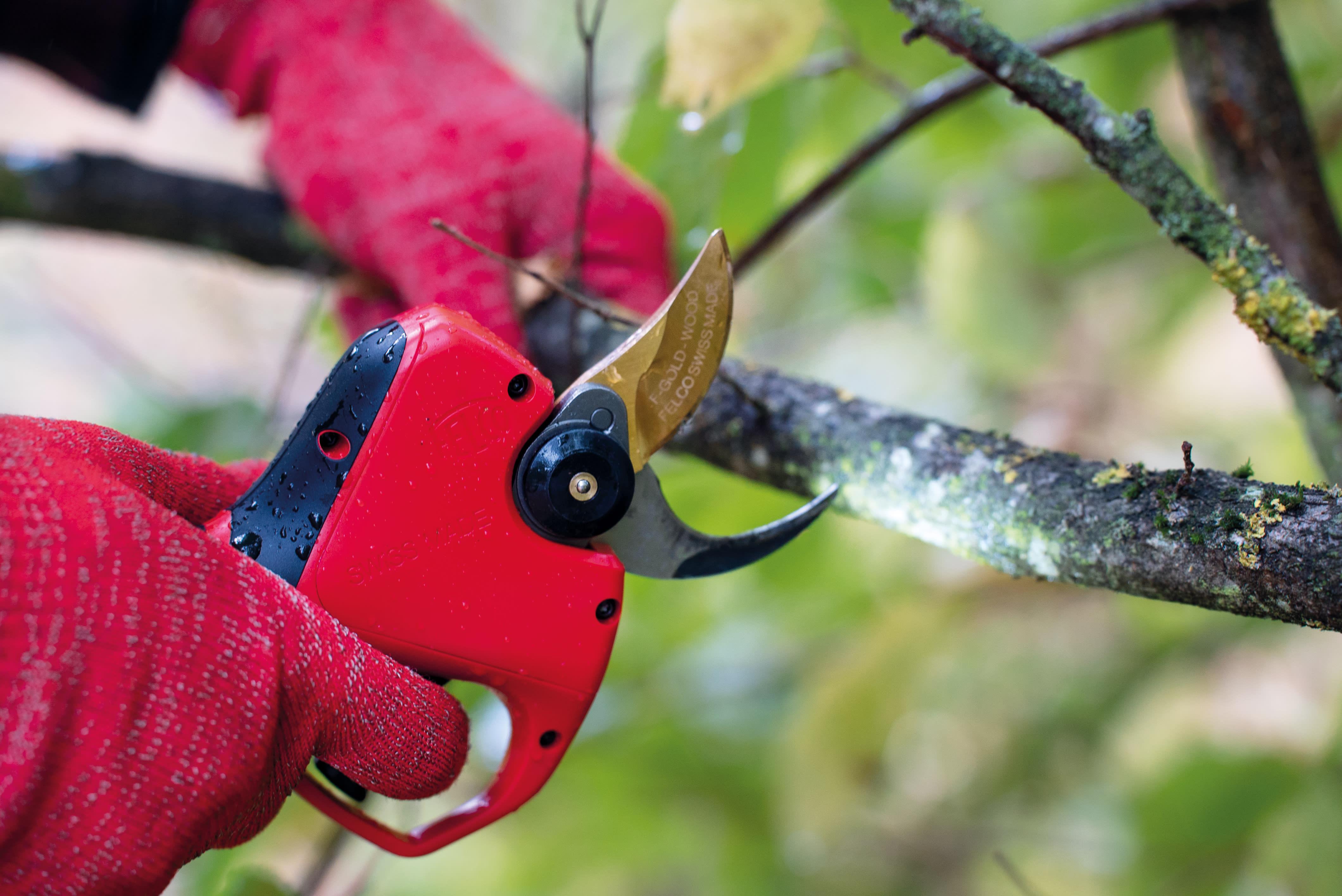 Felco Gegenklinge 834W/2