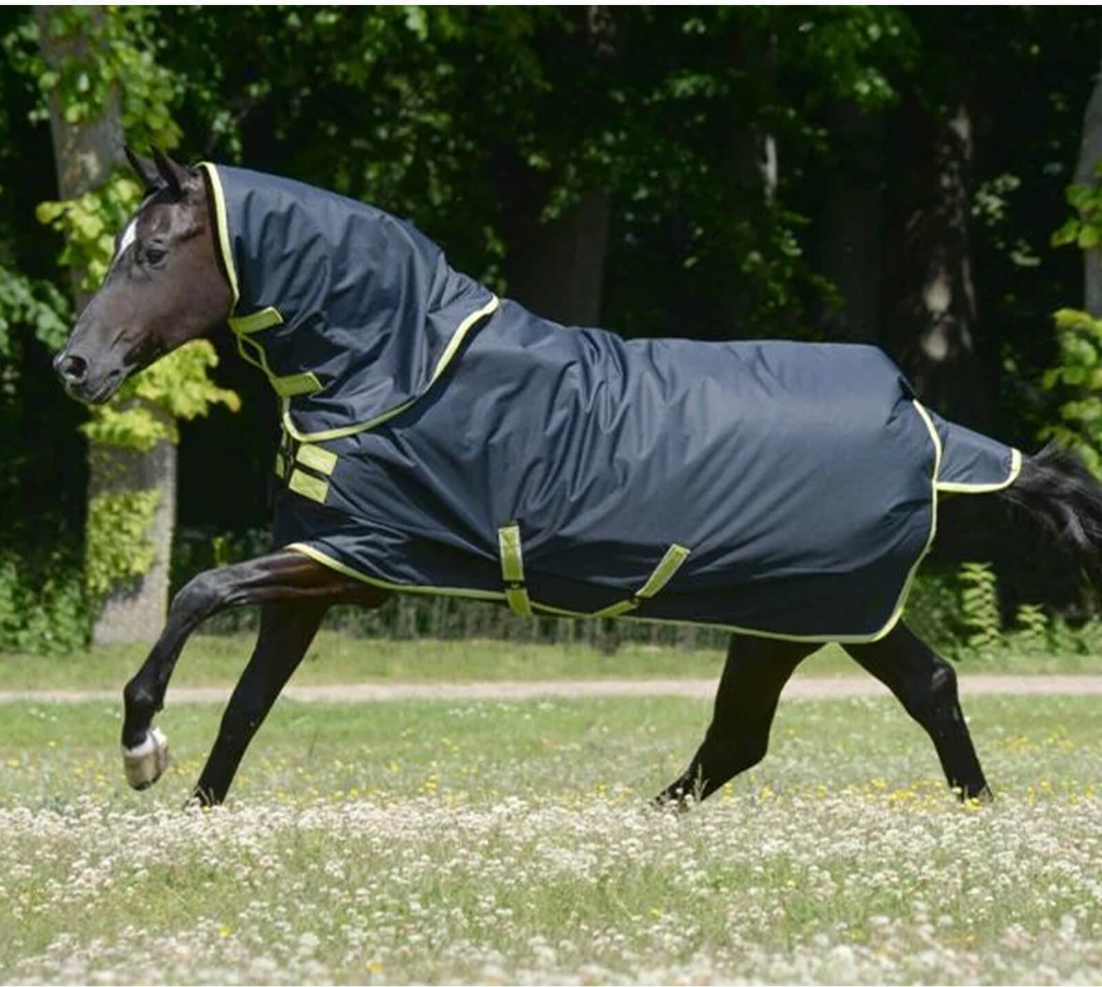 Coperta da Paddock con collo Tyrex 600 D  SENZA IMBOTTITURA per