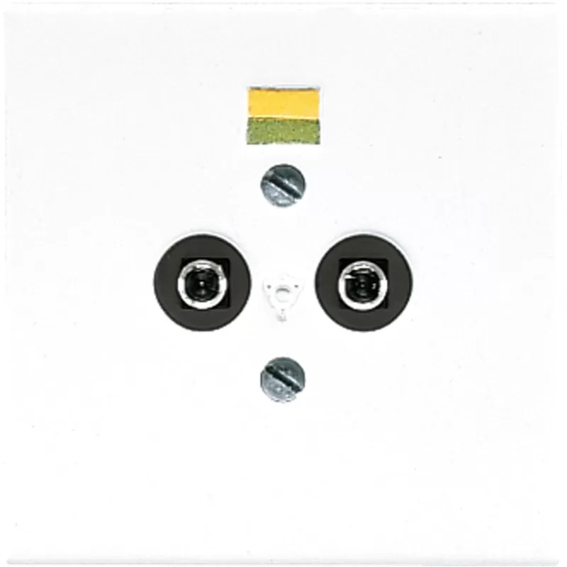 Jung Potential-Ausgl.Steckdose LS 965-2 WW LS965-2WW