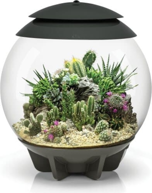 Automatisiertes terrarium 30l grau Oase AIR30GREY 71749