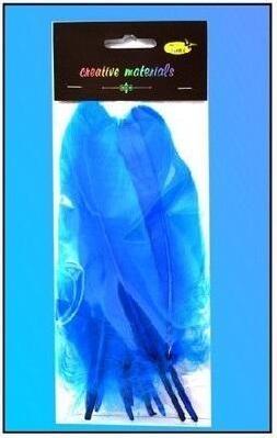 Galeria Hobby Pazifische harte Federn 10 Stk