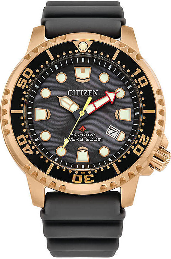 Jediný čas Citizen Black Collection Promaster - muž