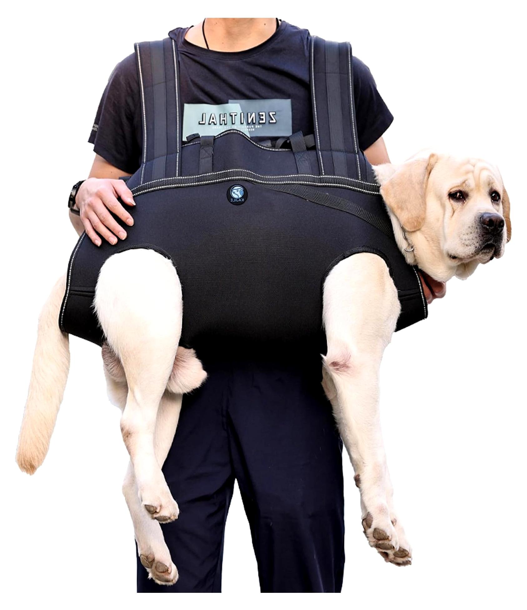 Markenlos Hunde-Rucksack für große Hunde, Ganzkörper-Hebegurt mit Griff, Reflektierendes Brustgeschirr, Gepolstertes Hundegeschirr, Unterstützung bei Gelenkverletzungen und Arthritis, Schwarz, 3XL