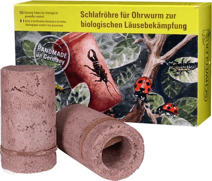 SCHWEGLER Ohrwurmquartier 6x10 cm 380/5