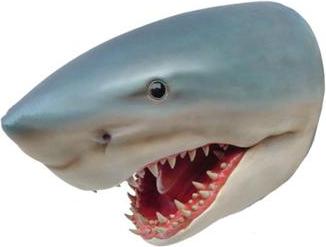 AEA Skulptur Hai Wand Fisch Skulpturen Figuren Statuen Skulptur Statue Design 80cm JVM4062292191626