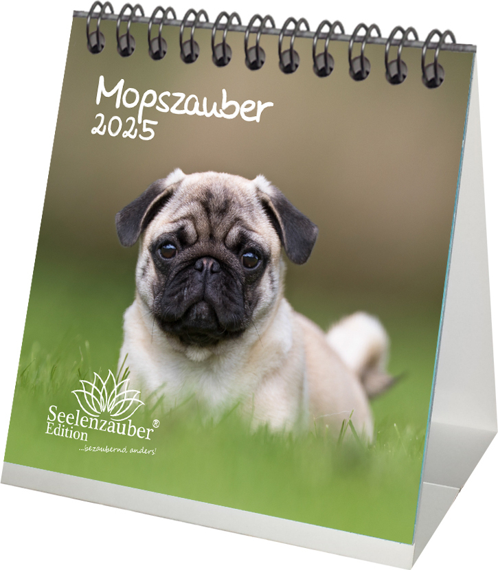 Mopszauber Kalender für 2025 Format 10cm x | Kaufland.de
