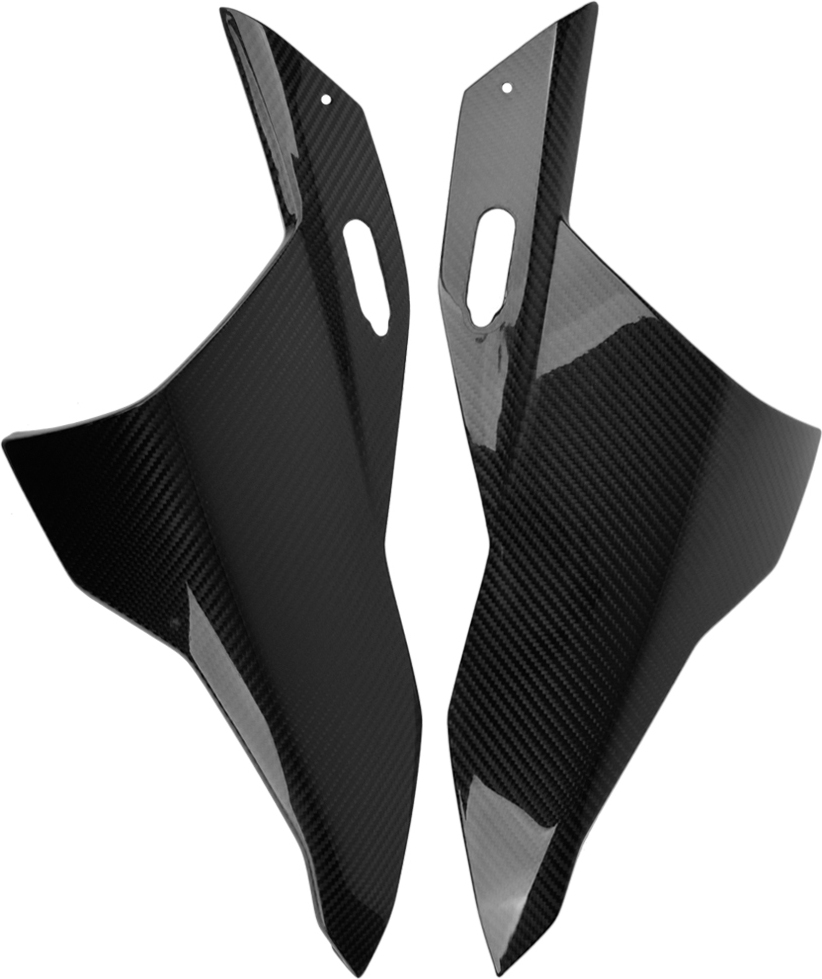 LTP BMW S1000RR Carbon Seitenverkleidung, 2019>> mit Teilegutachten RF25706