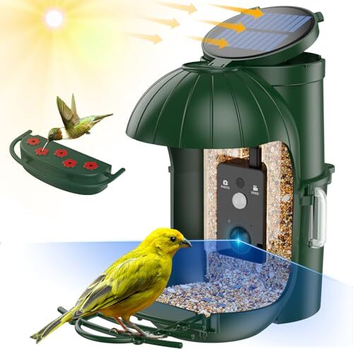 Kamera Vogelfutterhäuschen, Cozion -Kamerahaus, Solarenergie -Futtermittelstation, Stationen für Wildvögel, 1080p HD -Aufnahmen, automatische Aufnahme