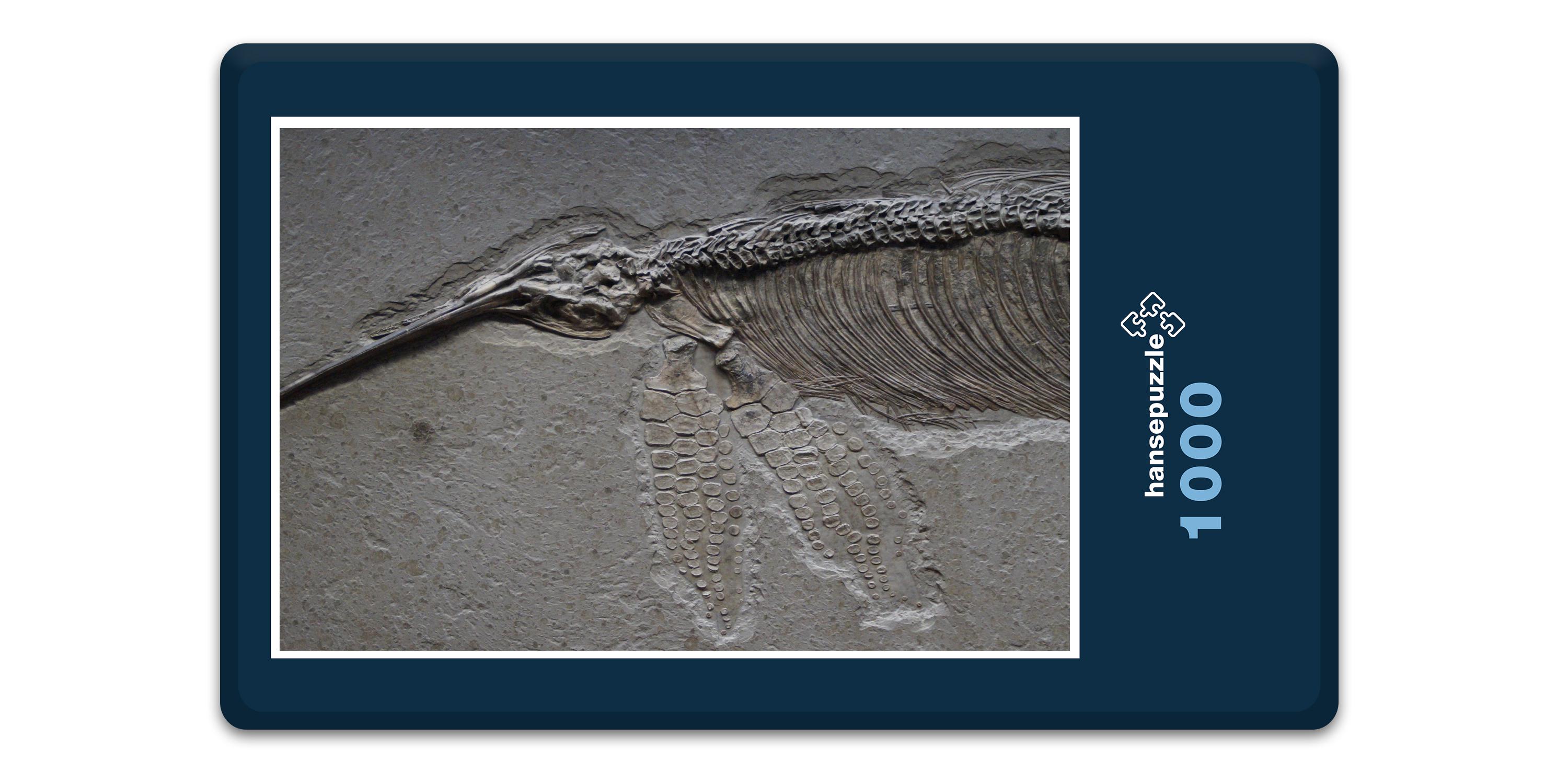hansepuzzle 11316 - Versteinerung Puzzle, 1000 Teile, Orte, 60,0 x 46,0cm mit hochwertiger Aufbewahrung, Kartonbox und wiederverschließbarem Beutel