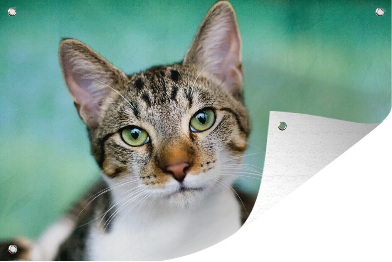 MuchoWow® 120x80 cm Outdoor-Poster Gartendeko Sichtschutz Garten Poster für den Garten Katze - Porträt - Augen 133|38380613