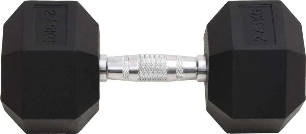 vidaXL Kurzhantel 27,5 kg Gusseisen 93611