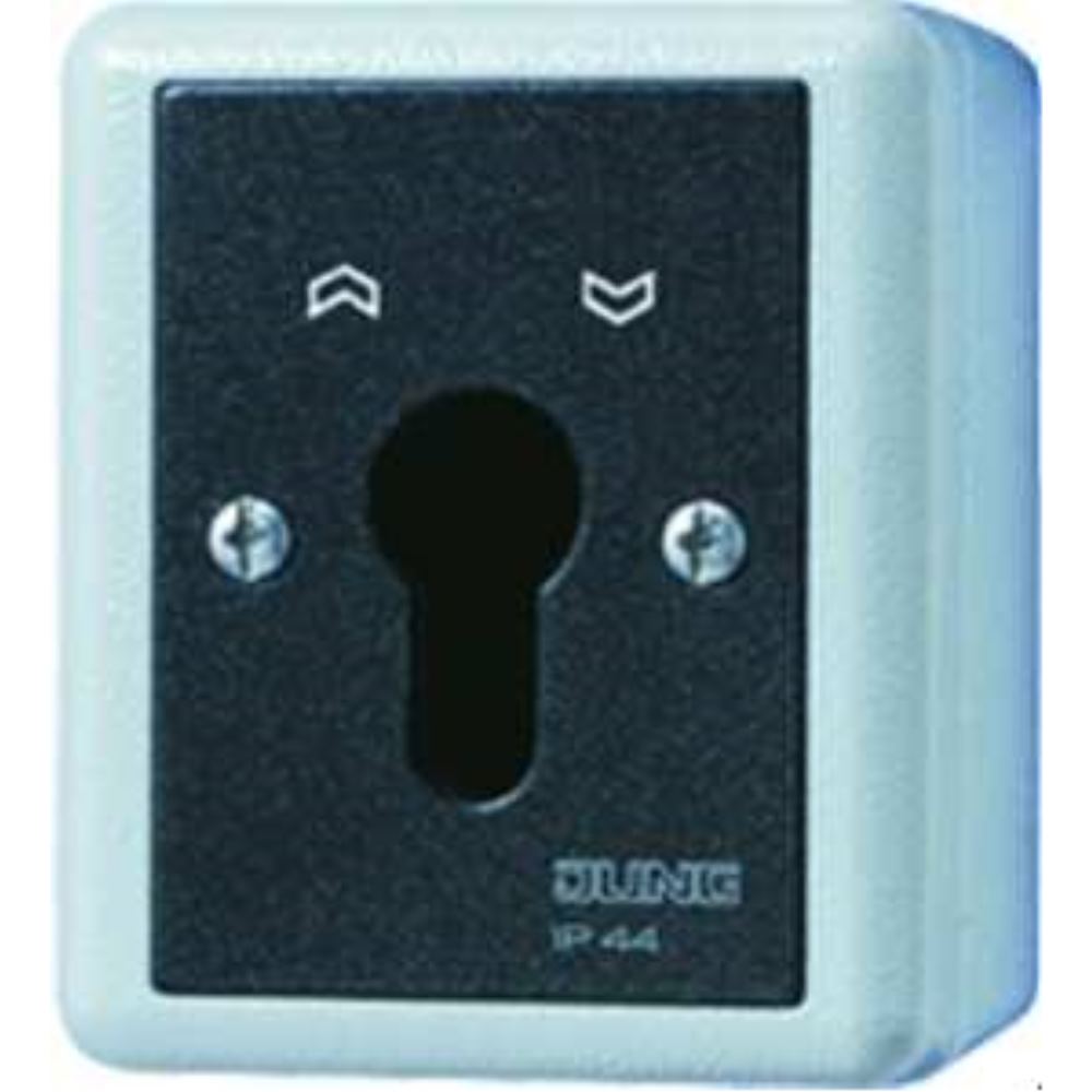 Jung 833.18G Schlüsselschalter