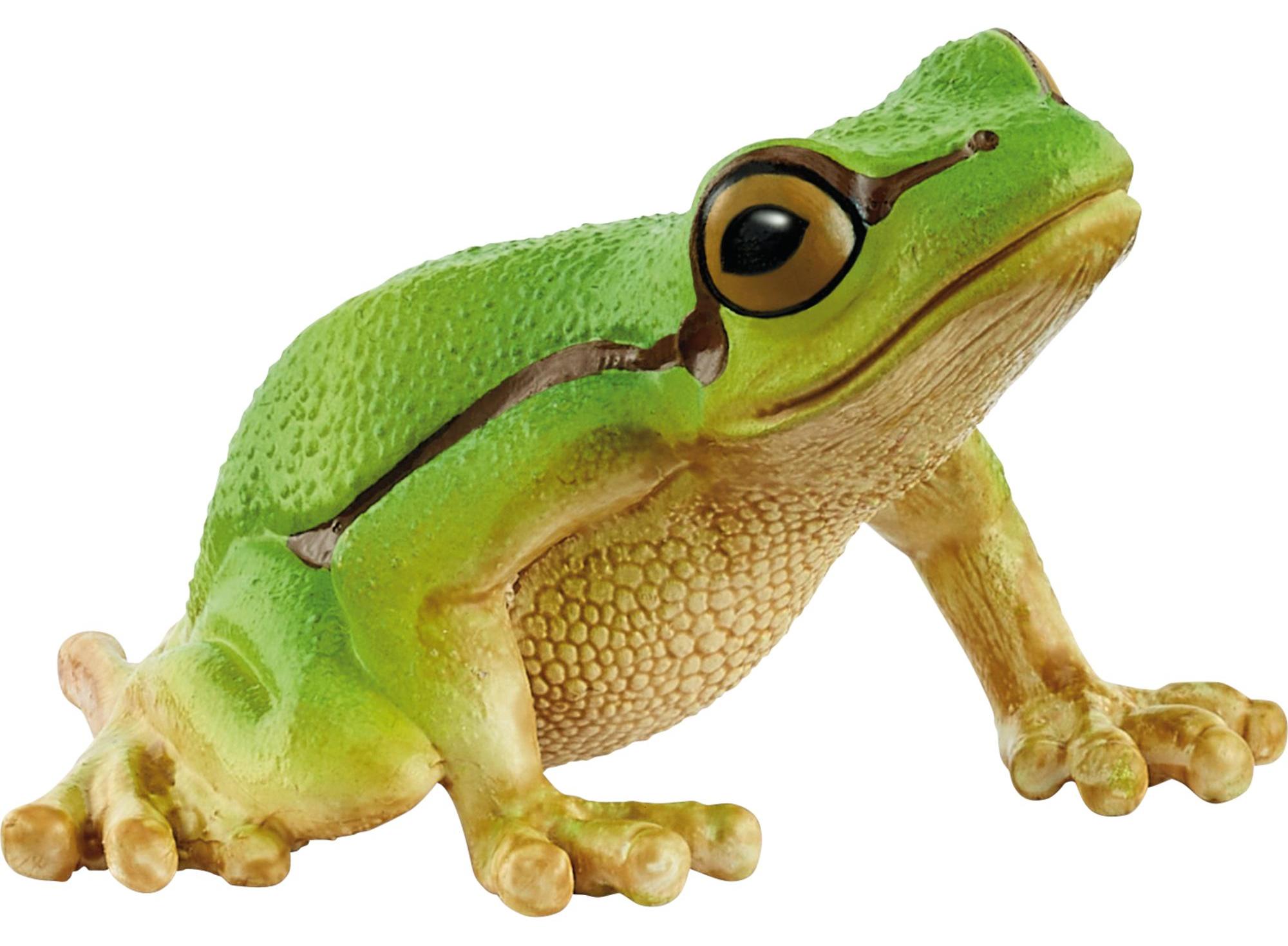 Schleich Wild Life Europäischer Laubfrosch 14882