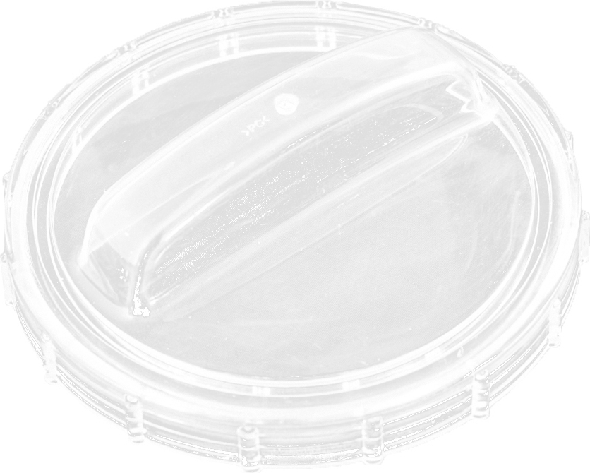 Bestway® Ersatzteil Vorfilterdeckel für Flowclear™ Sandfilteranlagen (ausgenommen 2.006 / 3.028 l/h) P07640