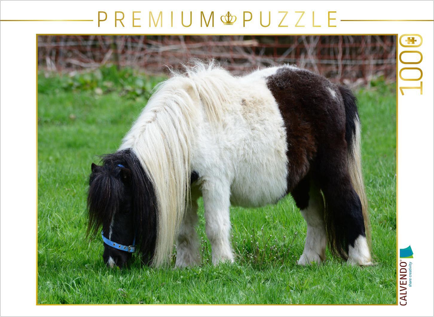 CALVENDO Puzzle Kleinpferd oder einfach liebevoll: Pferdchen | 1000 Teile Lege-Größe 64x48cm Foto-Puzzle für glückliche Stunden