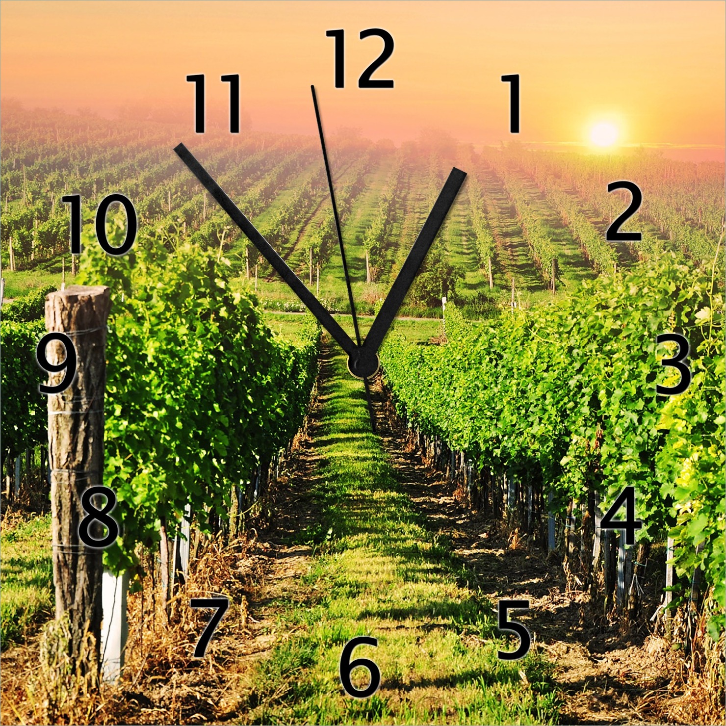 Wallario Design Wanduhr Weinberg mit untergehender Sonne aus Echtglas, Größe 30 x 30 cm gugs0266-3030