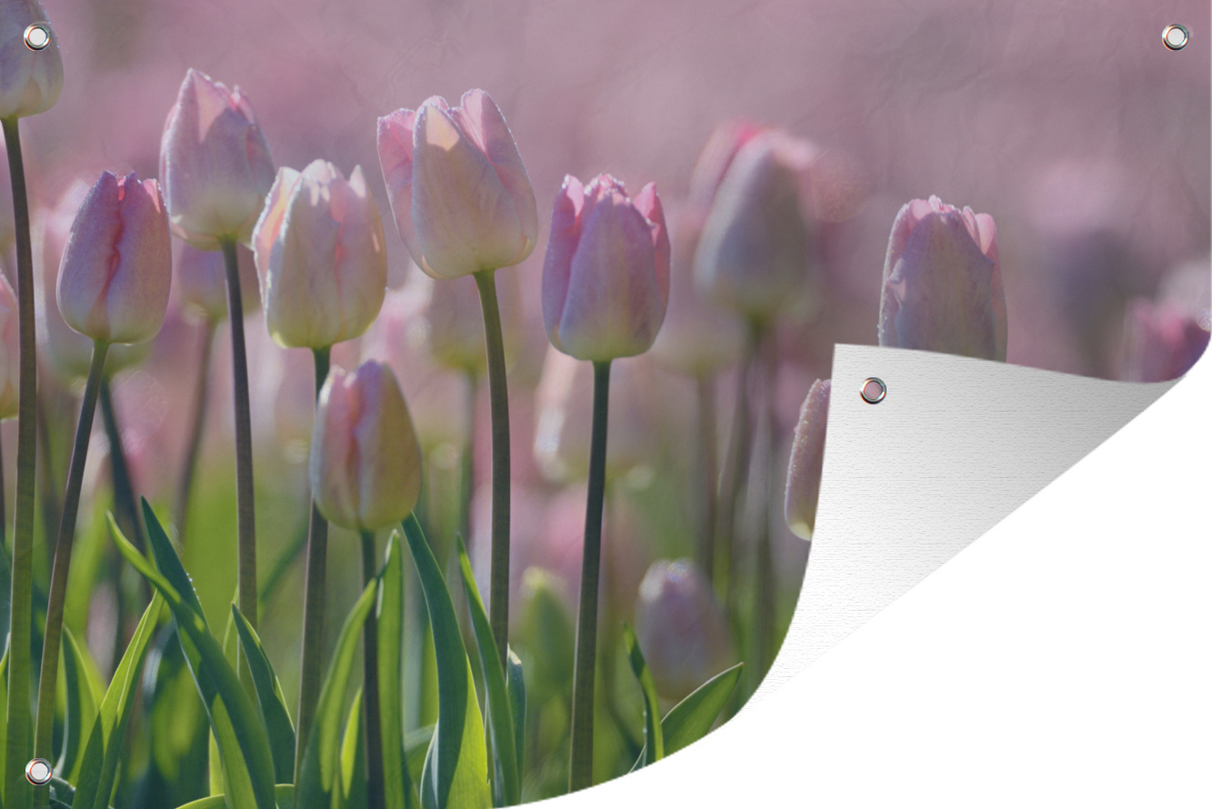 MuchoWow® 90x60 cm Outdoor-Poster Gartendeko Sichtschutz Garten Poster für den Garten Rosa Tulpen im Frühling 133|3745039