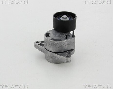 Triscan Riemenspanner, Keilrippenriemen 8641 103039