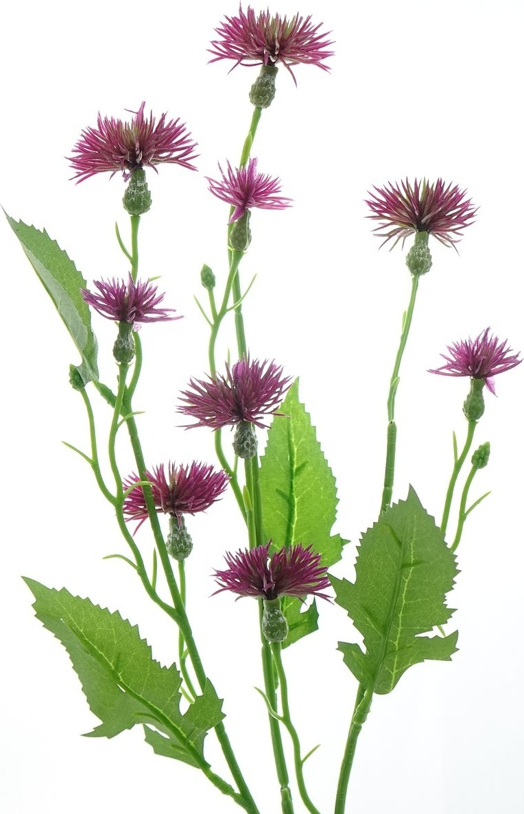 DPI Mini-Disteln Dunkelpink ca. 55 cm - Kunstblumen 43946-09