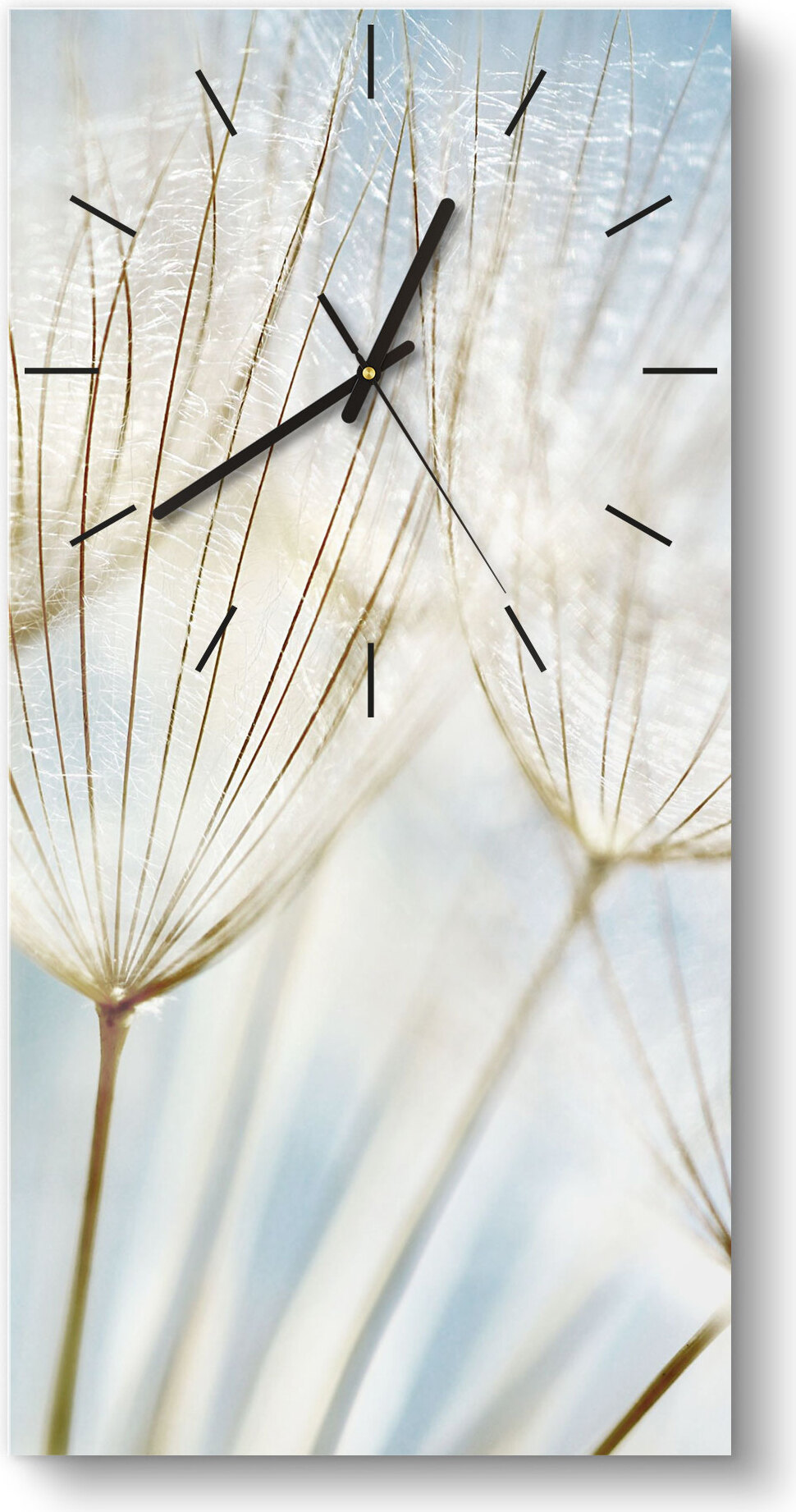 DEQORI Glasuhr 30x60 cm Modern 'Löwenzahnsamen nah' Wanduhr Glas Uhr Design leise WC-30-60-M-2447