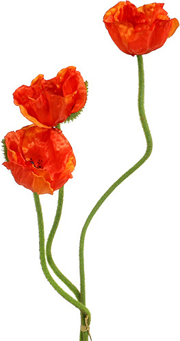 Viana Künstliche Mohnblumen Orange 58cm–74cm 3er Set – Seidenblumen Deko, 3 Stück 85656