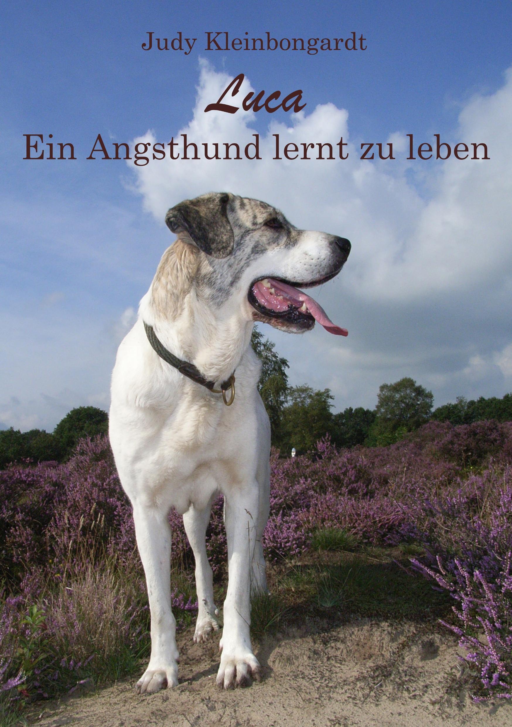 J. Lindeberg Luca: Ein Angsthund lernt zu leben