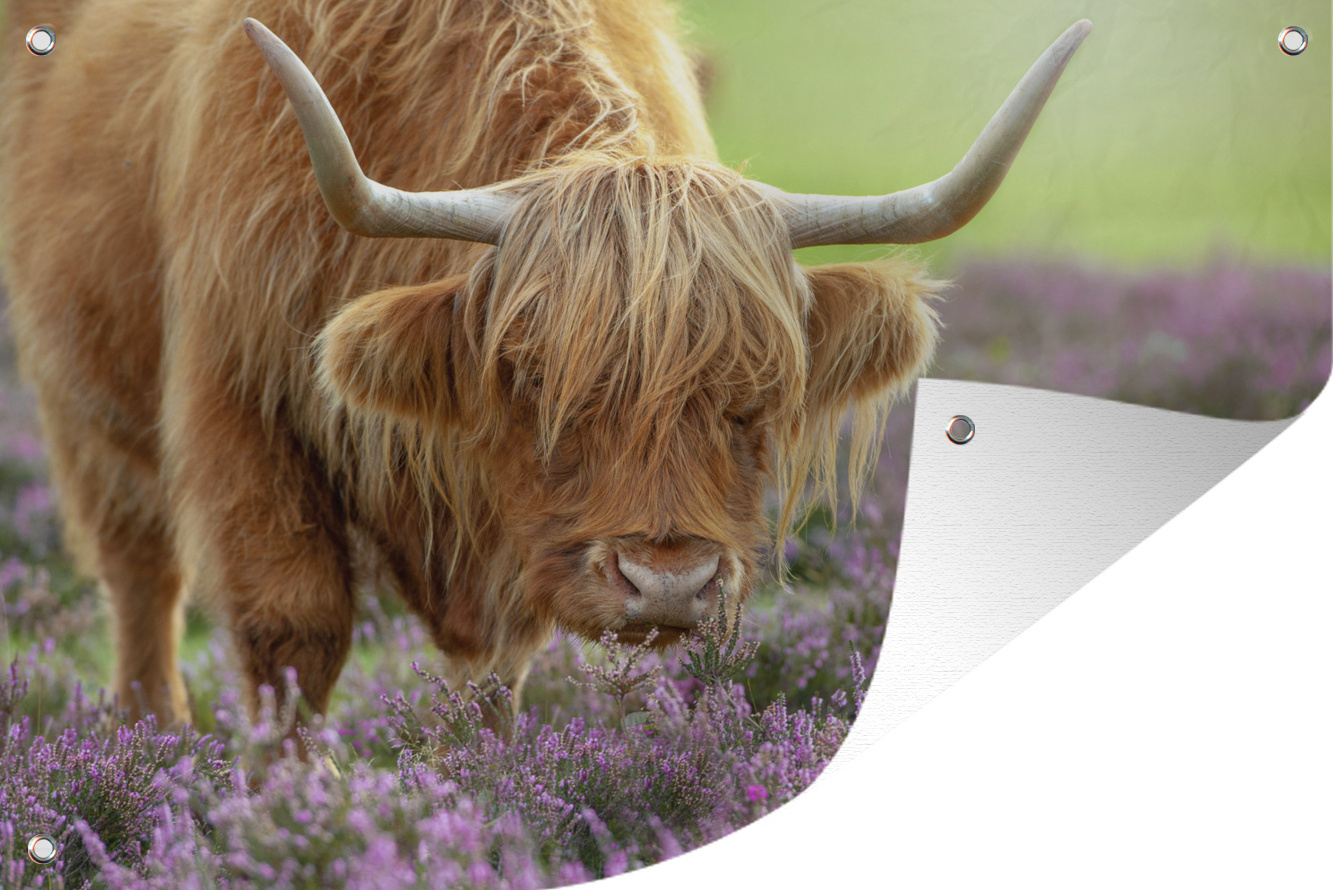 MuchoWow® 60x40 cm Outdoor-Poster Gartendeko Sichtschutz Garten Poster für den Garten Schottische Highlander - Blumen - Natur 133|3748971