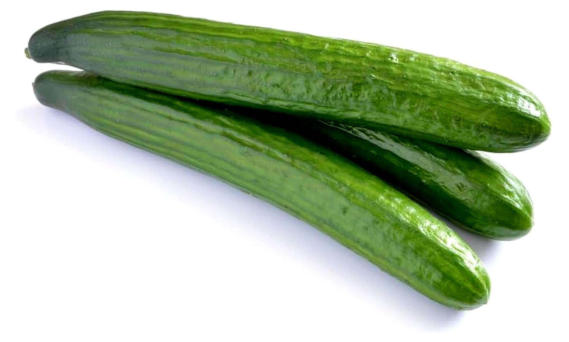 Markenlos 25 Samen Salatgurke Sorte TELEGRAPH IMPROVED