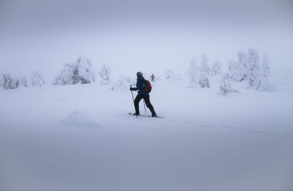 hansepuzzle 70287 - Schneeschuhwanderung Puzzle, 500 Teile, Natur, 46,0 x 30,0cm mit hochwertiger Aufbewahrung, Kartonbox & Beutel 60287