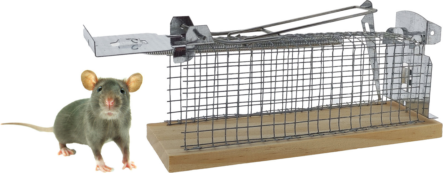 Pack 4 Mausefalle Fliegenklatsche Maus 2 Loch In Holz Stück - Foto 12