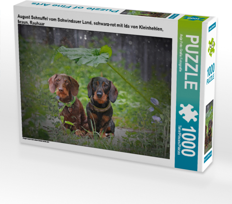 CALVENDO Puzzle August Schnuffel vom Schwindauer Land, schwarz-rot mit Ida von Kleinhehlen, braun, Rauhaar | 1000 Teile Lege-Größe 64x48cm Foto-Puzzle für glückliche Stunden