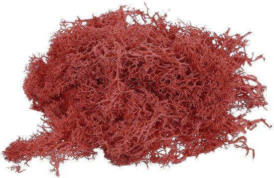 OEM Kunstmoos 3,5 oz rot für Wanddeko und DIY 2026