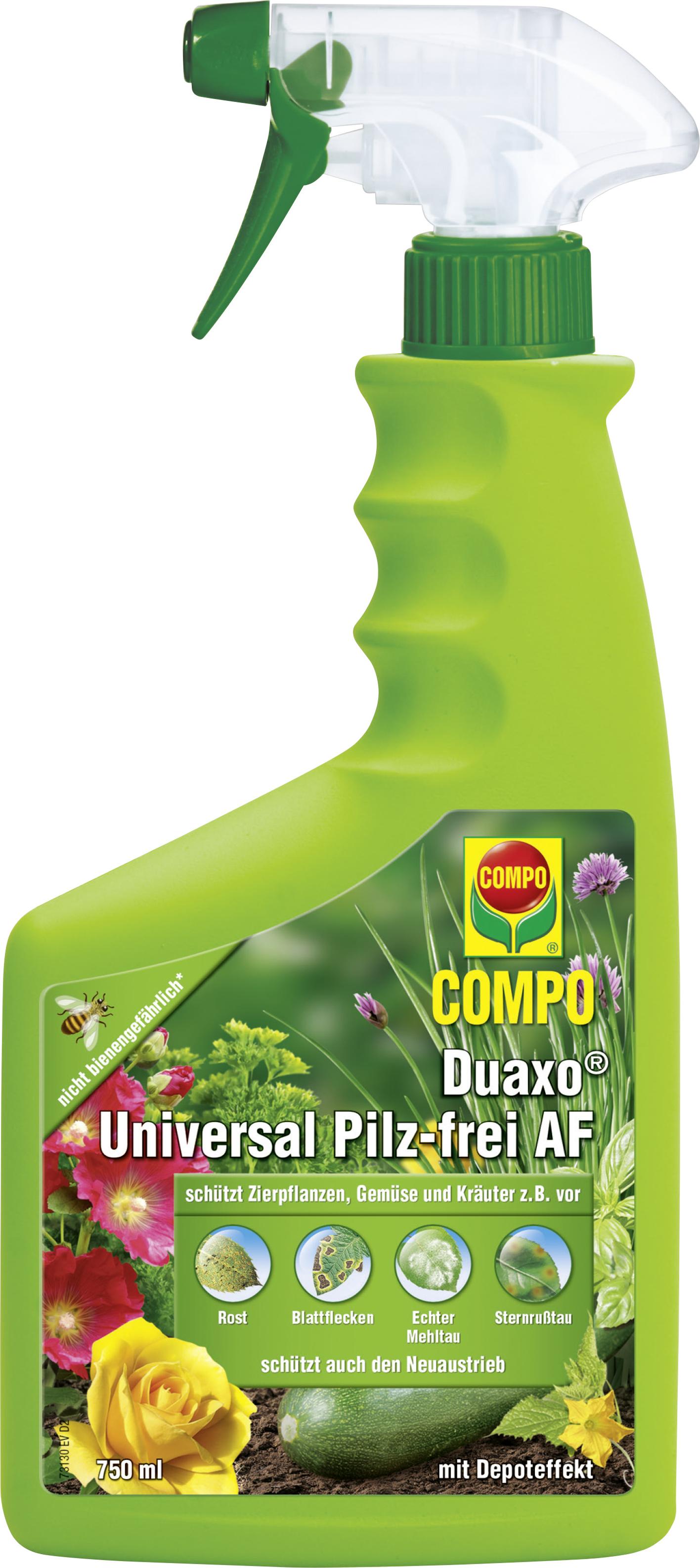 topfpflanzen bienenfreundlich Bienenfreundliche, Trockenheits- & hitzefeste Blühhecke, 6 Pflanzen kaufen  – Mein schöner Garten Shop main image 1