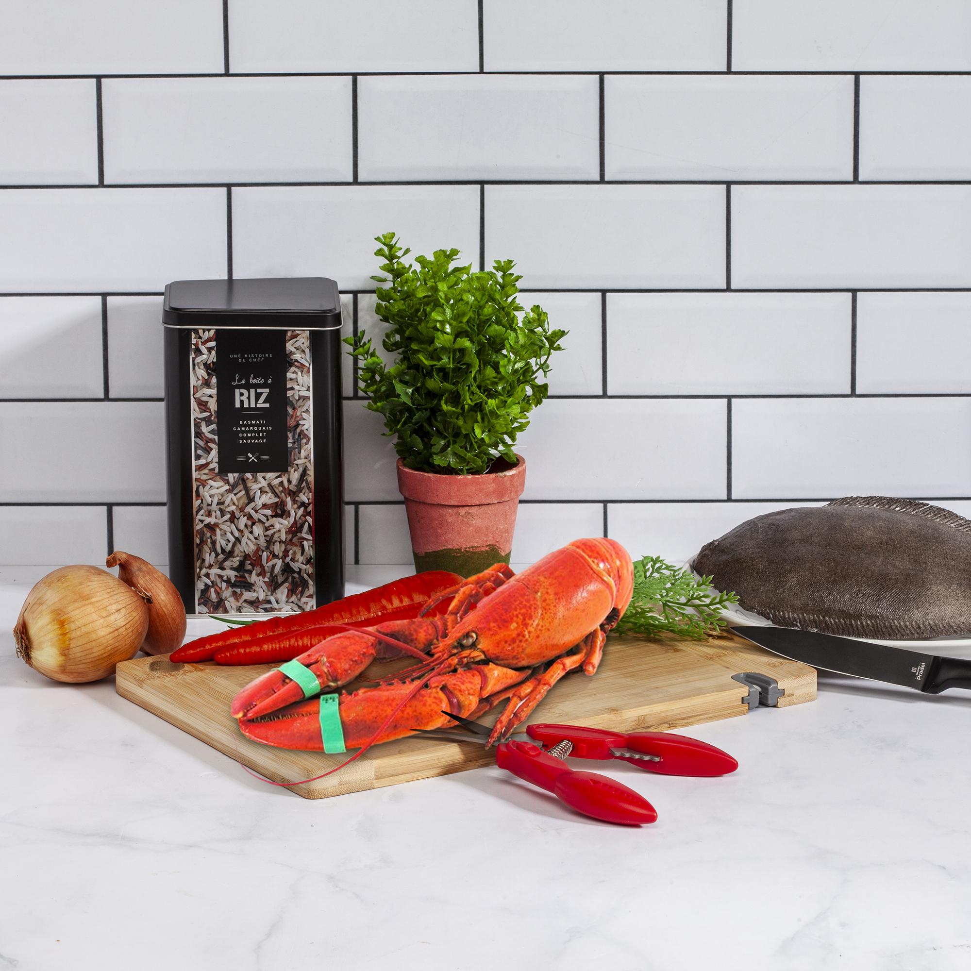 Cook Concept 2-in-1-Schere für Krustentiere