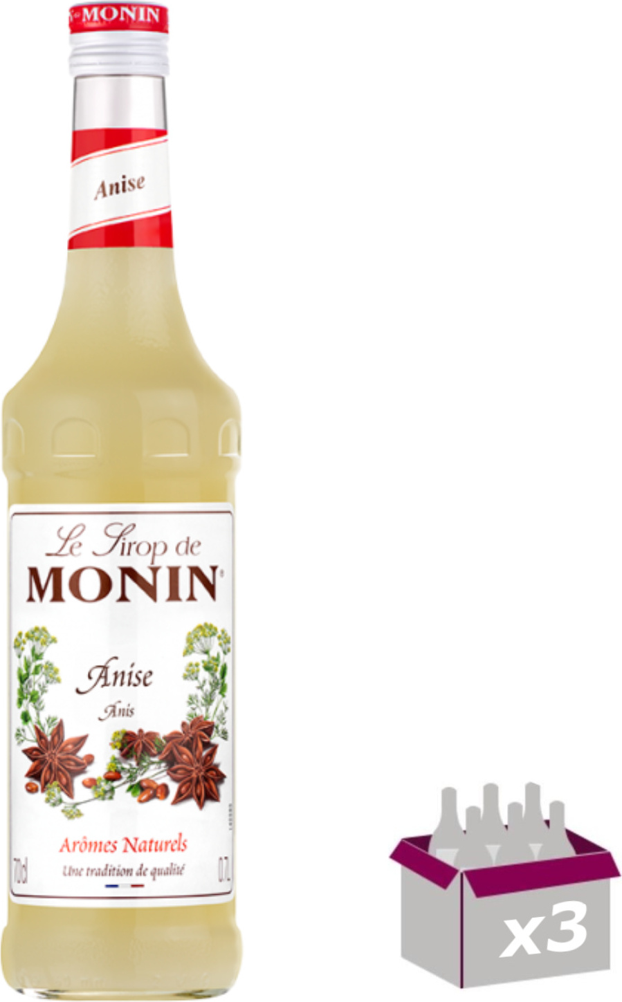 Lot de 3 Sirop Monin - Anis - 70cL