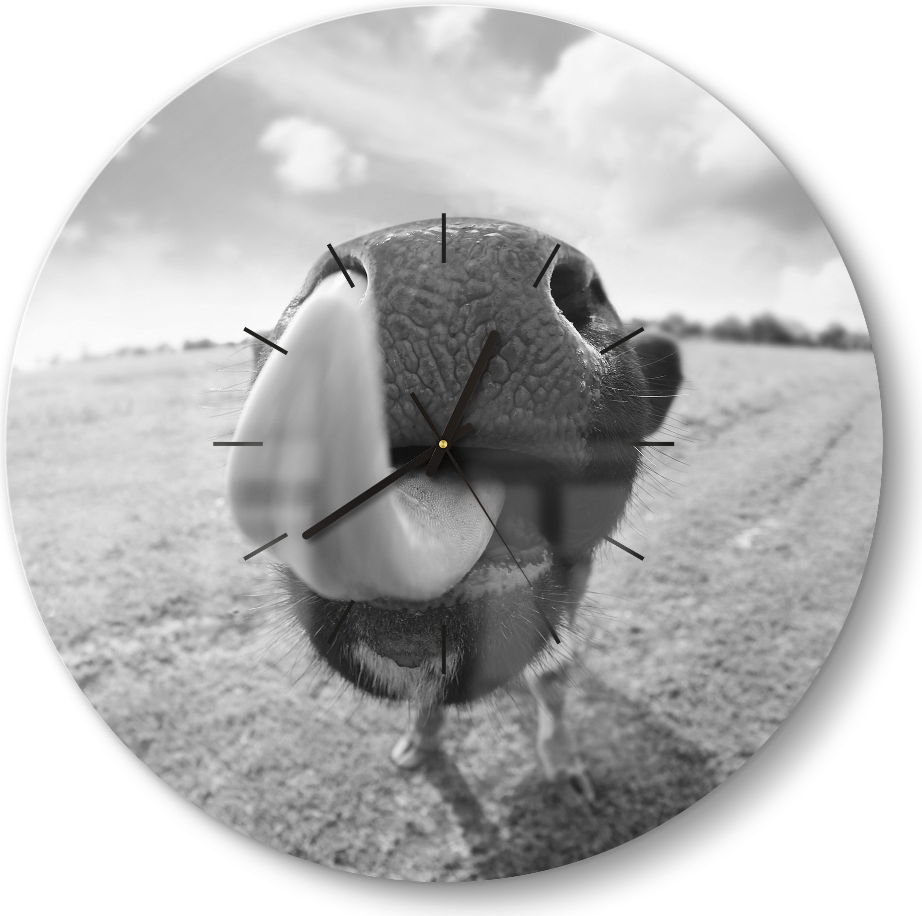 DEQORI Glasuhr Ø50 cm Modern 'Kuriose Kuh' Wanduhr Glas Uhr Design leise Küchenuhr WC-D50-M-3272