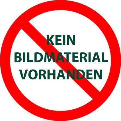 Vitavia Glasfederklammern, 20 Stück, schwarz 2505729