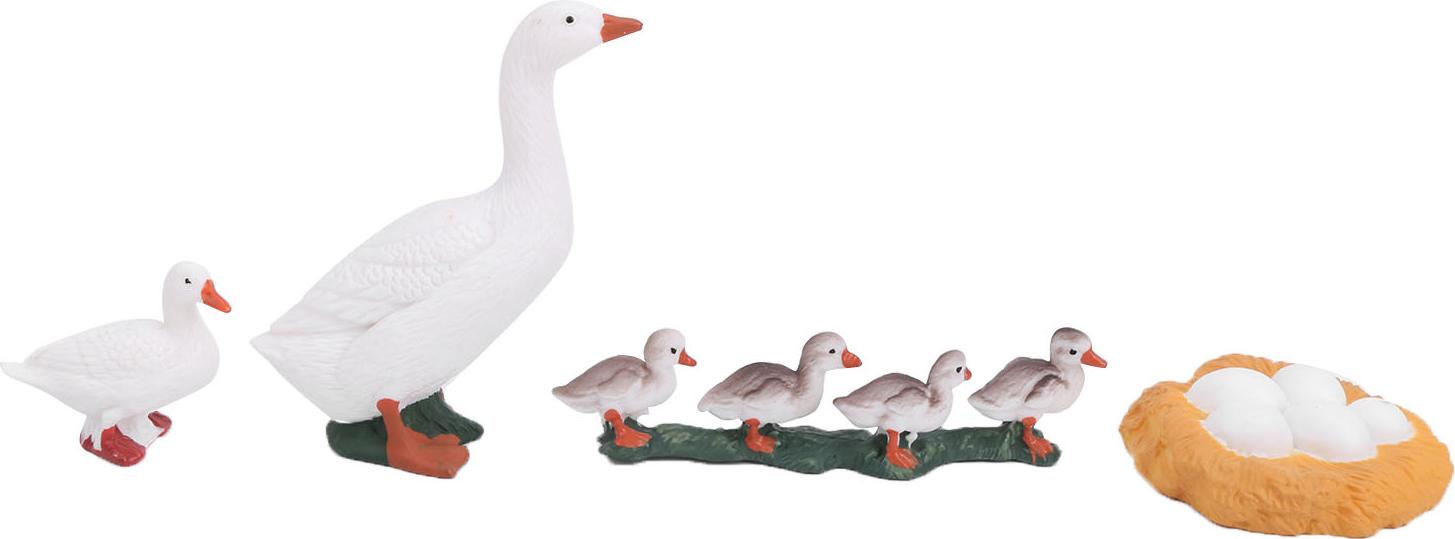 Gistuch 4-stufiges Wachstumszyklus-Modell, Tier-Enten-Lebensmodelle, Lernspielzeug für Kinder