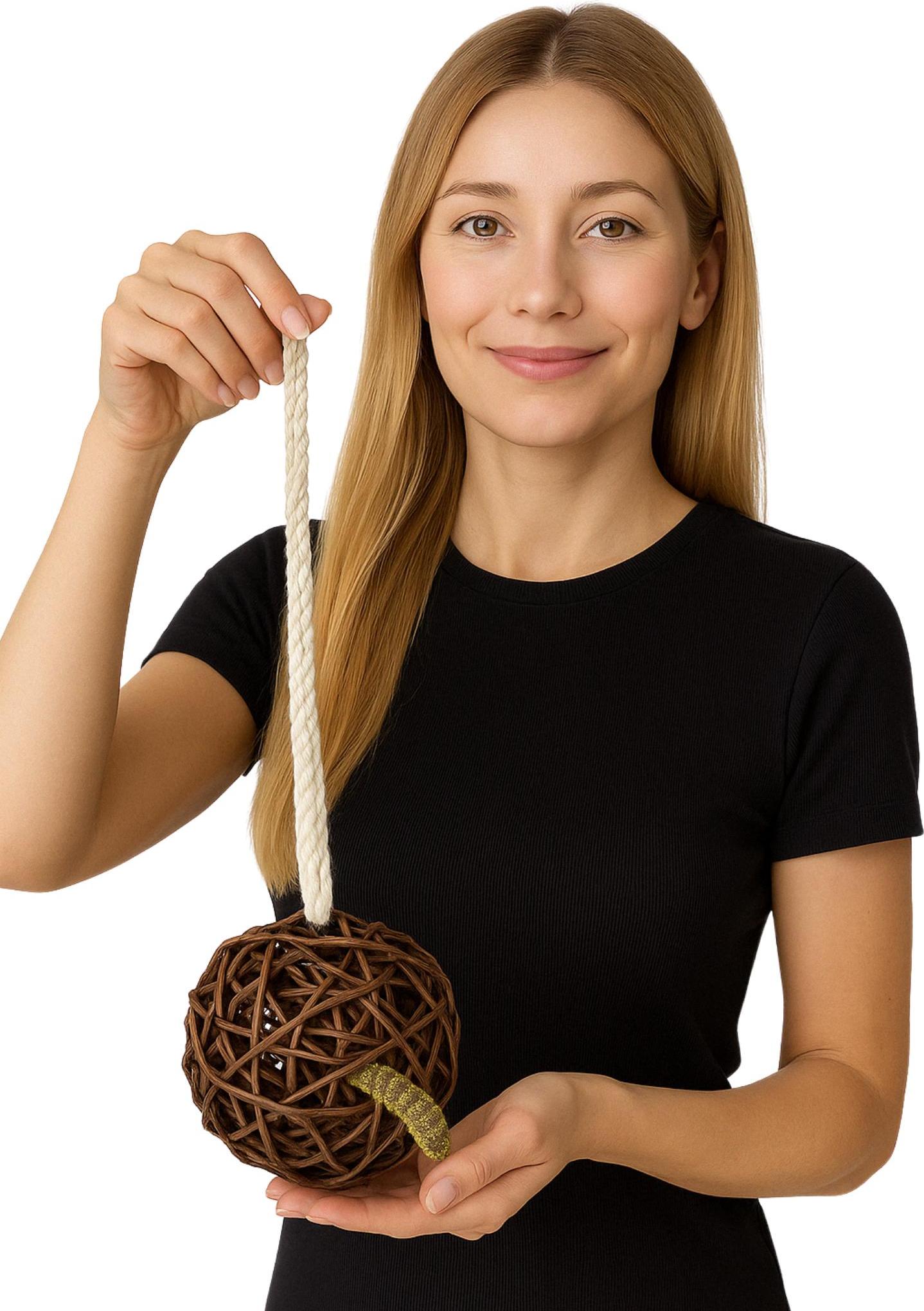 Jr Farm Weidenkugel Mit Hirse - Knuspriger Snack Für Papageien, 25G