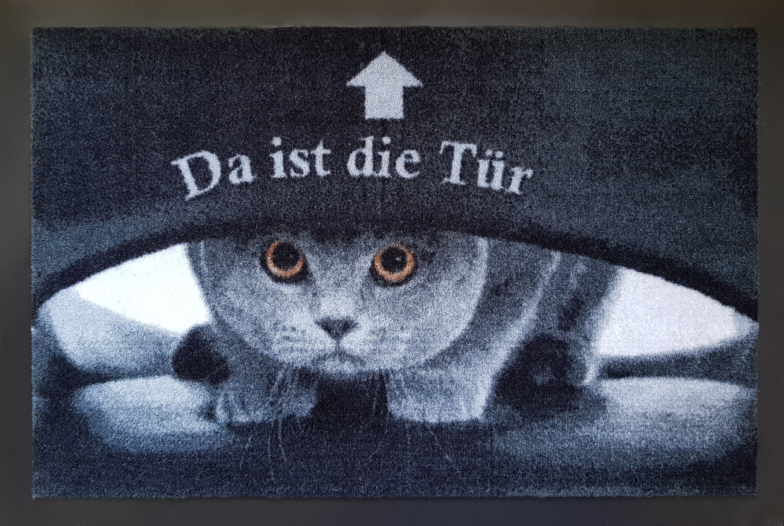 #94284 60x40cm Schwarzes Kätzchen Mieze Tierposter Fußmatte Türmatte Katzen 