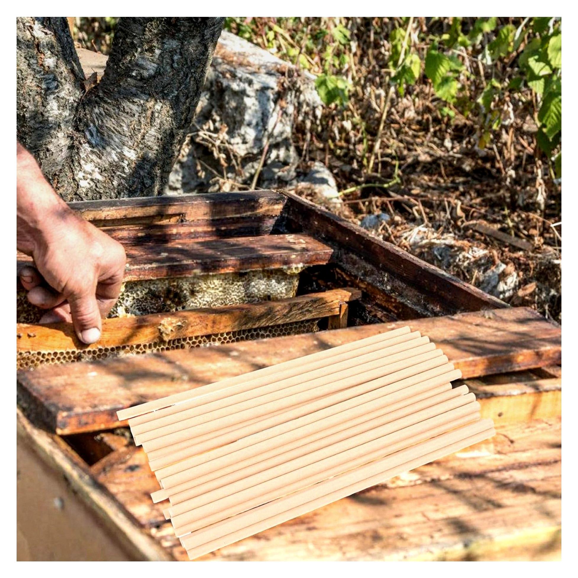 Markenlos Bienenröhren 100 Stück Natürliche Niströhren 6mm x 195mm Kompakte Nachfüllröhren für Imkereibedarf Garten Balkon