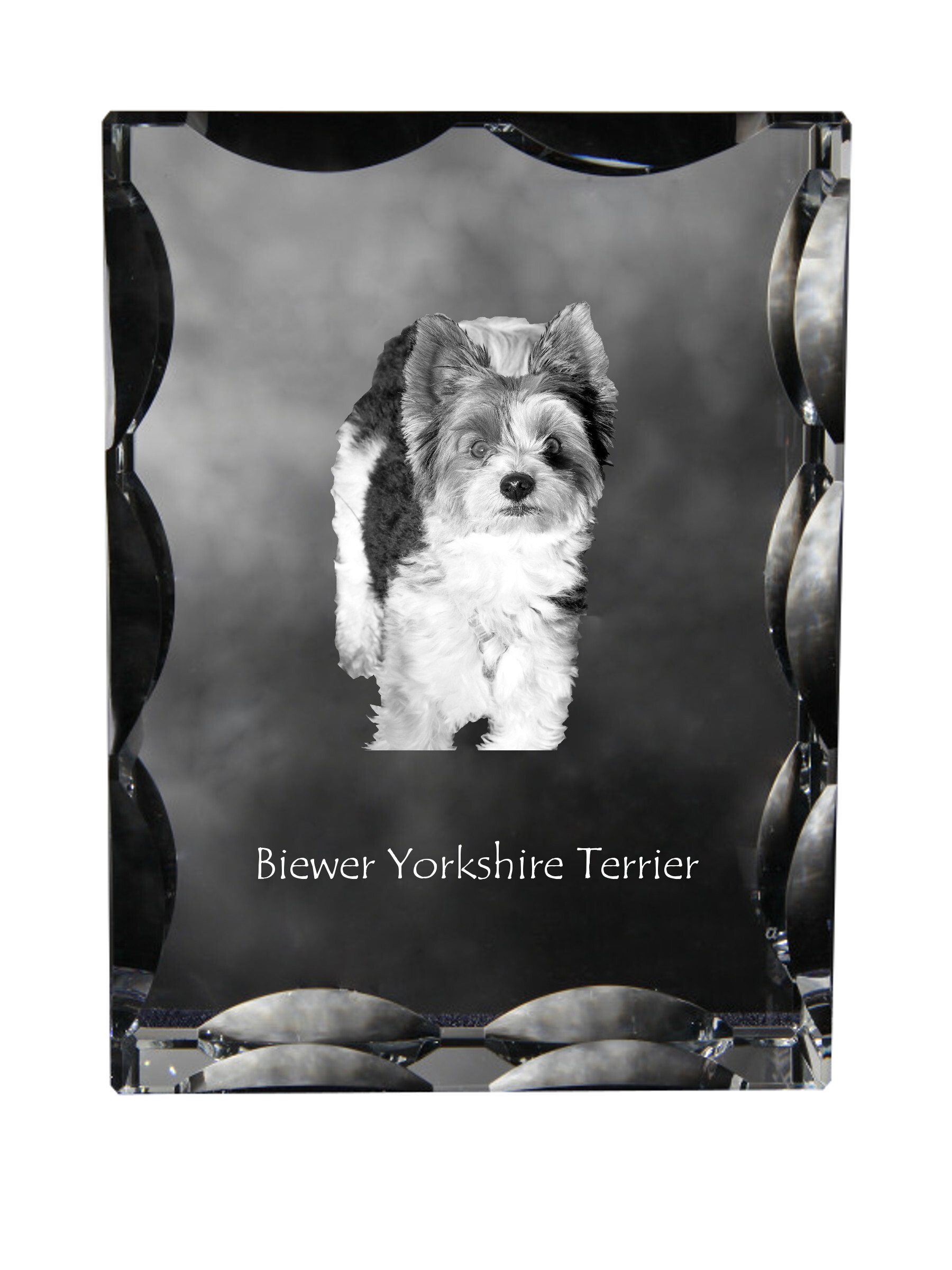 Biewer Terrier, Biewer Yorkshire Terrier - Kristall mit einem Hundebild, Glasstatuette mit einem Bild, einzigartiger Bilderrahmen der Marke Art-Dog
