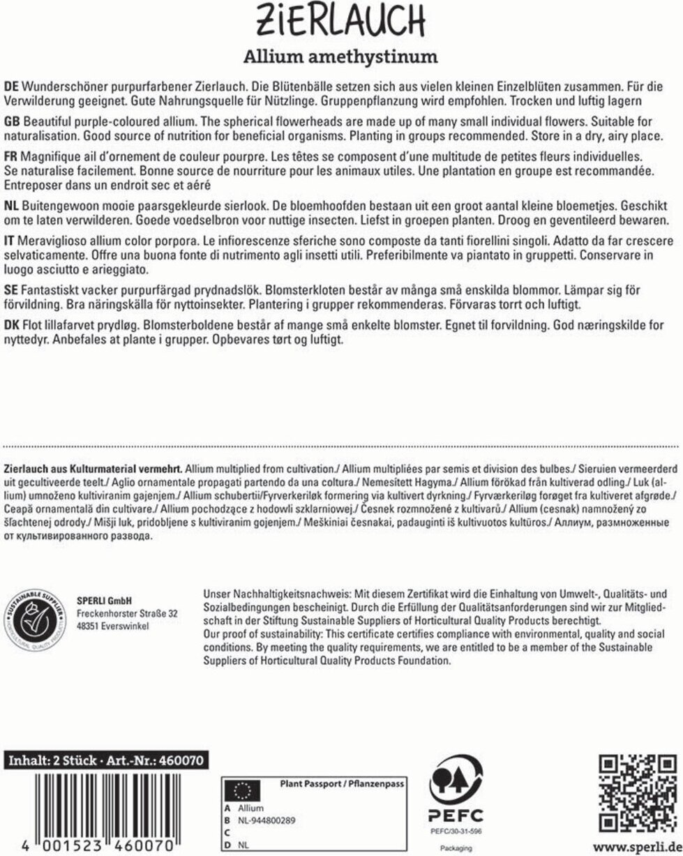 Sperli GmbH Zierlauch Red Mohican (2 Stück) | Zierlauchzwiebeln von Sperli 460070
